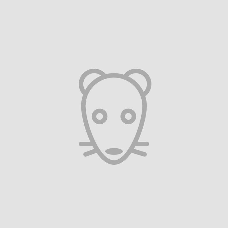 DI SER kvepalai "Hikaru Daichi"